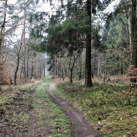 Durch die W&auml;lder