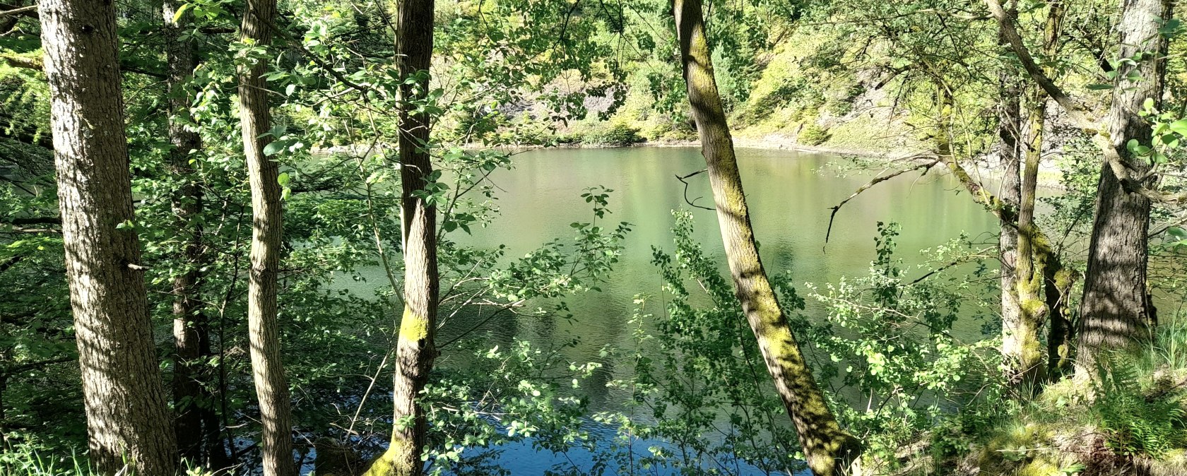 Nature Impressions, &copy; Corinne Odenkirchen