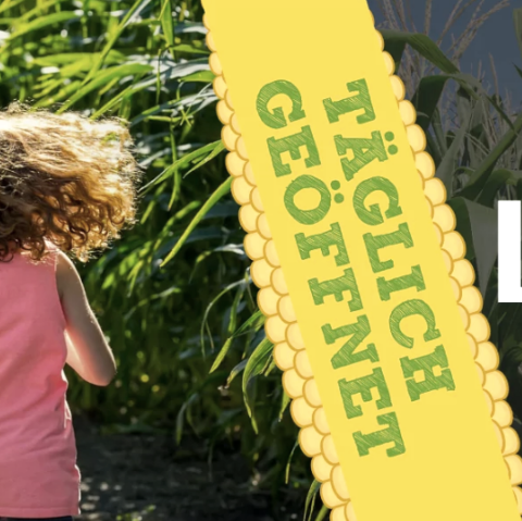 Corn maze, © Najla Nabout