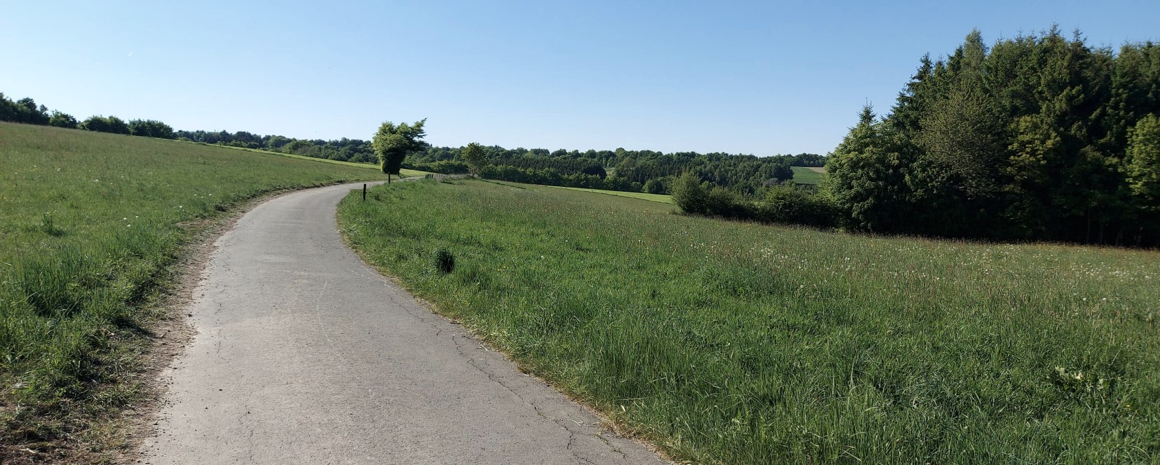 Wiesenaussicht Huppenbroich Juli-August (co) Thei&szlig;