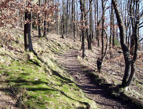 Rather Felsen path