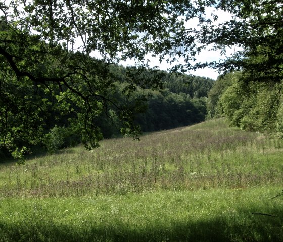 Ardbinna Gr&uuml;nfl&auml;che