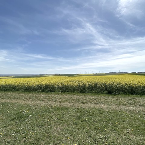 Wollersheimer Bördelandschaft, © Rureifel-Tourismus e.V.