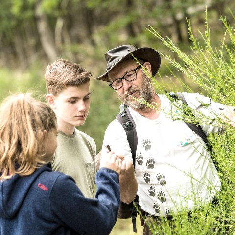 Family tour with forest guide