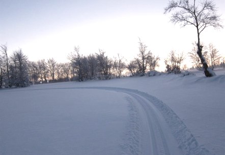 Gespurte Loipe, © Günter Scheidt