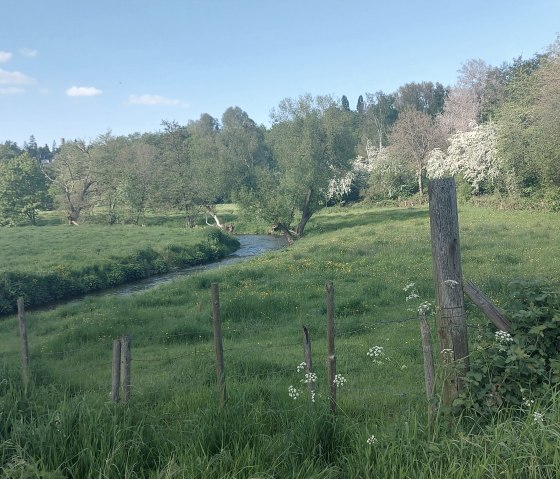Frühlingsweg (co) Theißen-Braun