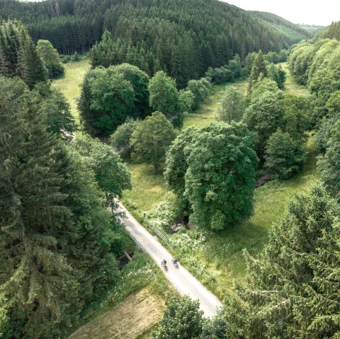 Aerial view of the Prethbach valley with dense forest and a road on which cyclists are riding. Lush green vegetation dominates the landscape., © Eifel Tourismus GmbH, Dennis Stratmann