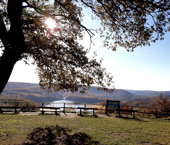 Beautiful view
