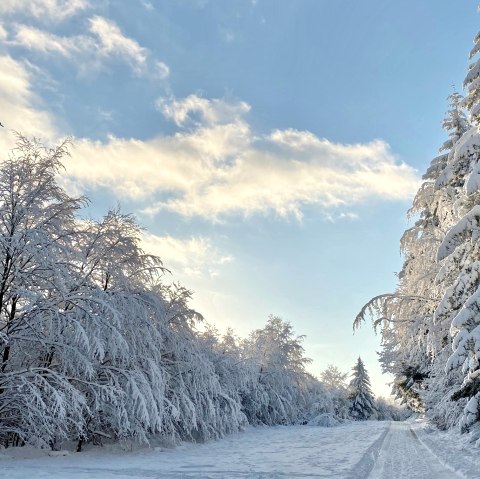 Winterlandschaft, &copy; Petra Schumacher