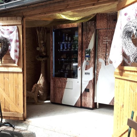 HOlzb&uuml;dchen, &copy; Gabriele Schumacher