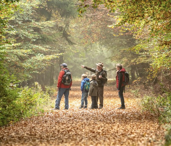 Mit dem Ranger unterwegs im Kermeter, &copy; Nationalpark Eifel, Dominik Ketz