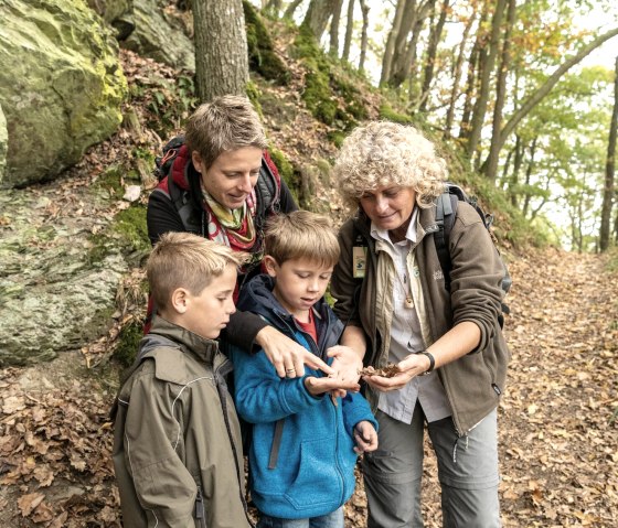 Familientag mit Waldf&uuml;hrerin, &copy; D. Ketz