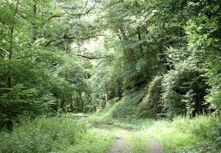 Weidenbachtal, © Guido Hendle