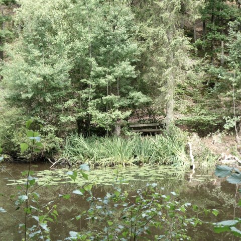 Idyllischer Waldsee, © Eifel heimisch