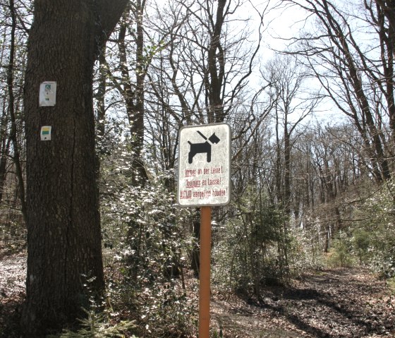 The Eifelsteig leads to the High Fens in Belgium, &copy; Eifel Tourismus