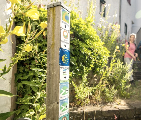 Wegweiser mit Wanderrouten in Blankenheim, umgeben von gelben Blumen. Zwei Personen wandern im Hintergrund., &copy; Eifel Tourismus GmbH, Dominik Ketz