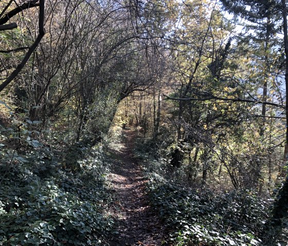 Entlang der Wanderung, &copy; Rureifel-Tourismus e.V.