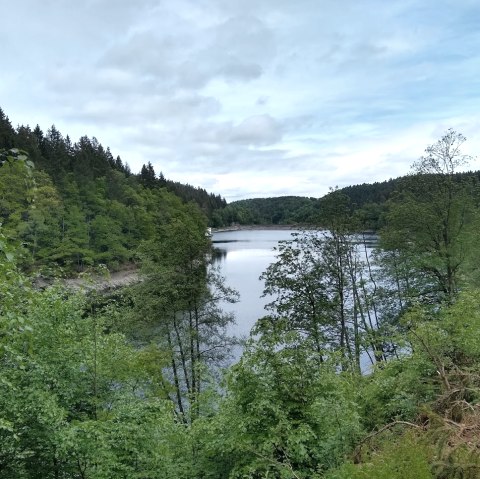 Kalltalsperre Rundwanderweg 31, &copy; Gemeinde Simmerath