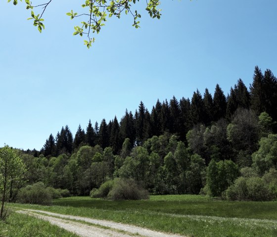 Auf dem Wanderweg Nr. 23, &copy; Monschau-Touristik GmbH, Barbara Frohnhoff