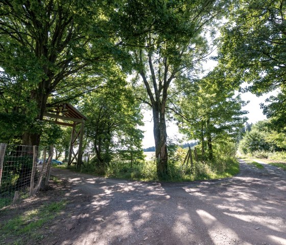 Brandenburg Gate 4, © some.oner