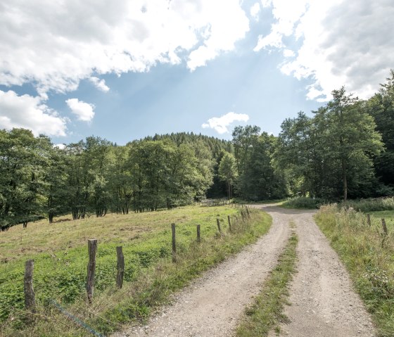 At the meadows, © some.oner