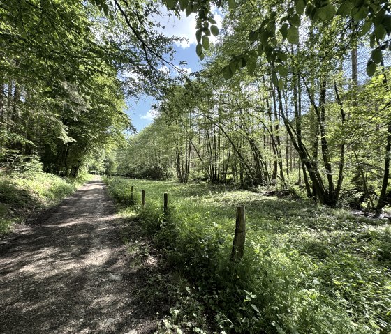 20 - Nationalpark Randweg, &copy; Rureifel-Tourismus e.V., Dennis Winands