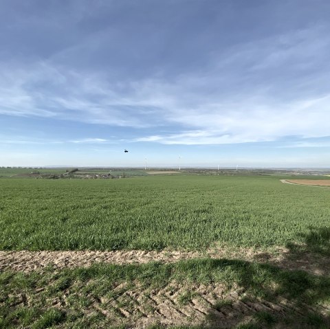 Weitsichten in der Bördelandschaft, © Rureifel-Tourismus e.V.