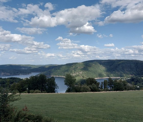 Rurseeaussicht Juli-Augsut (co) Thei&szlig;en-Braun