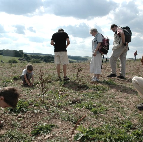 Fossil search, © Naturzentrum Eifel
