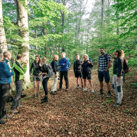 Wandergruppe im Wald, &copy; Paul Meixner