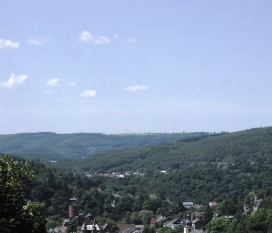 View from the house