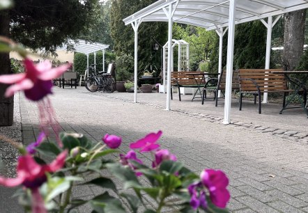 Au&szlig;enterrasse G&auml;stehaus Feriendorf Pulvermaar, &copy; Feriendorf Pulvermaar