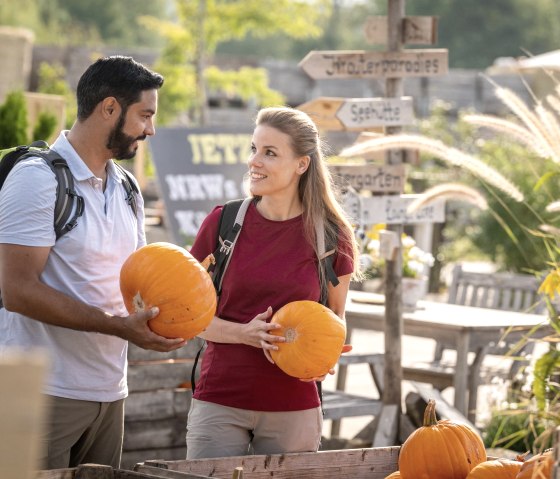 Pumpkins at the Krewelshof, &copy; Eifel Tourismus GmbH, Dominik Ketz