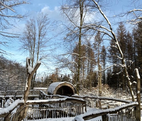 Schneespa&szlig; am Wilden Kermeter