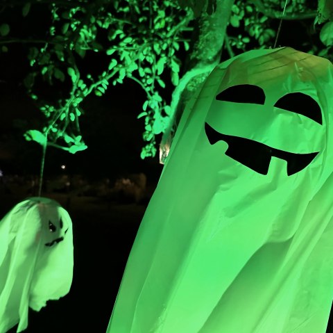 Gruselgespenster, &copy; Seepark Z&uuml;lpich