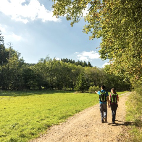 Wanderer  am Waldrand, &copy; Eifel Tourismus GmbH - Dominik Ketz
