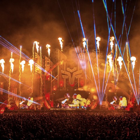 Into the Madness, &copy; Into the Madness