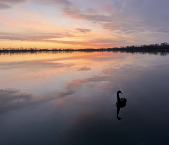 Sonnenaufgang, &copy; Seepark Z&uuml;lpich