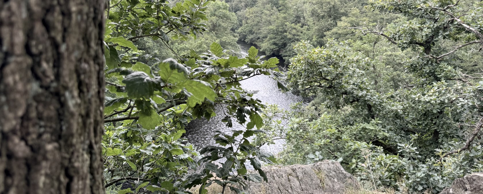 Ausblick auf die Rur, &copy; Rureifel-Tourismus e.V., Dennis Winands