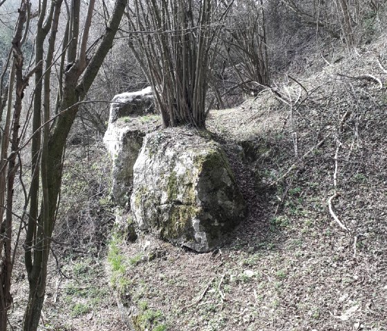 Auf dem Wanderweg, &copy; Jens Mieckley