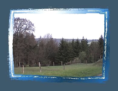 Ausblick, © Nordeifel Tourismus GmbH & Ferienwohnung Dickerscheid 87