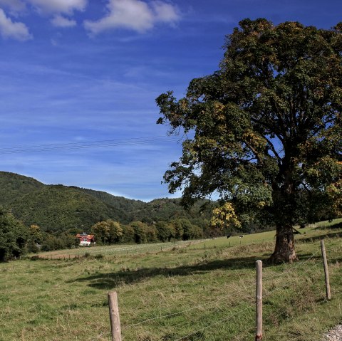 Blick über Felder und Wiesen