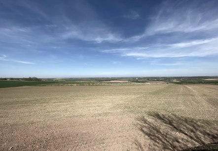 Blick in die B&ouml;rdelandschaft, &copy; Rureifel-Tourismus e.V.
