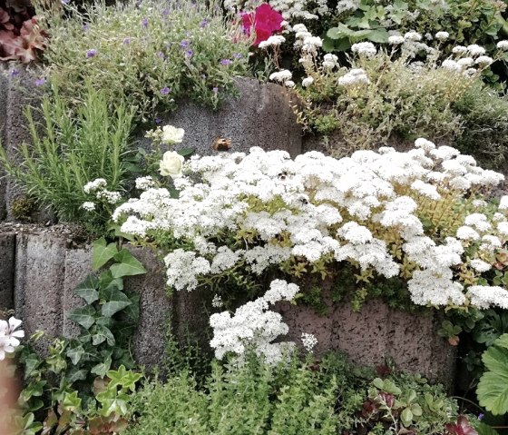 IMG_20180624_131037, &copy; Nordeifel Tourismus GmbH & Ferienhaus Burgblick