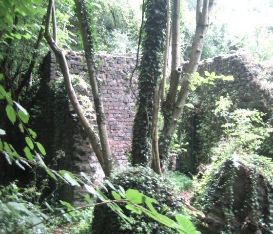 &Uuml;berreste auf der Tour, &copy; Jens Mieckley