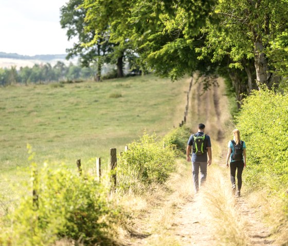Wandern Rursee-H&ouml;henweg, &copy; Eifel Tourismus GmbH, Dominik Ketz