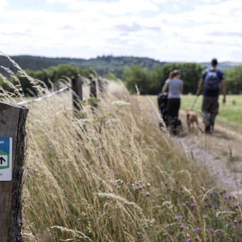 Wanderung f&uuml;r Familien, &copy; Eifel Tourismus GmbH - Tobias Vollmer