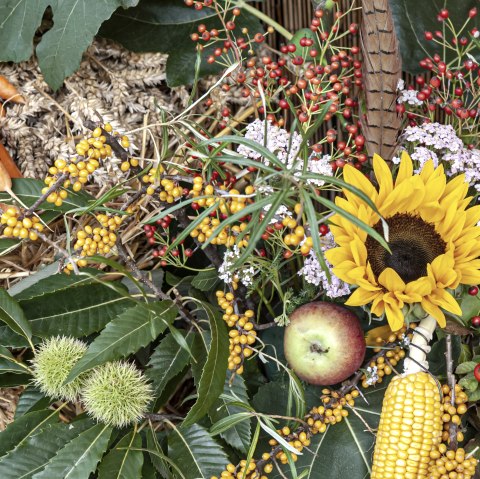Herbstblumen, &copy; LVR-Freilichtmusuem Kommern/  Hans-Theo Gerhards