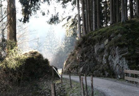 Idylle Wald, &copy; Eifel heimisch