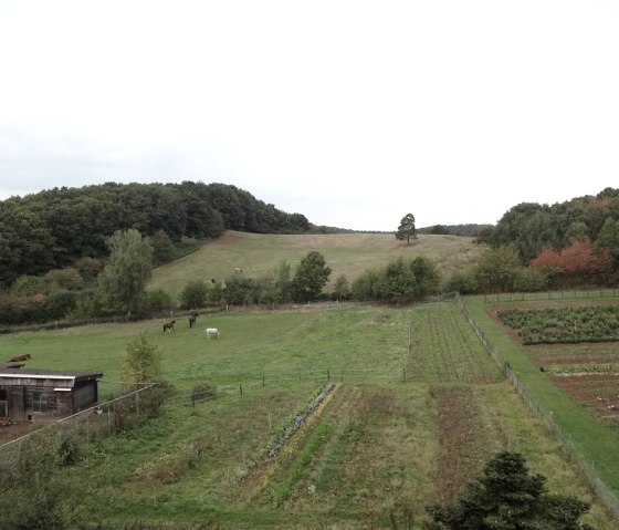 Aussicht, &copy; Nordeifel Tourismus GmbH & Ferienwohnung Mombauer